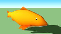 koi