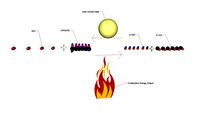 Combustion/Fotosynthesis on molecular scale