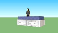 Trundle Platform Bed