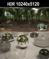 HDR 116 Forest