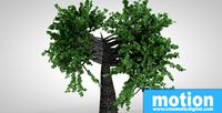 Exotic Trees Package 1.0.0