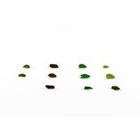 JAKER LEAVE PACK BY MR HOANG