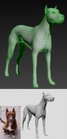3d Dog Model