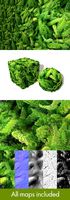 Furry Jungle Plants Seamless Texture
