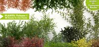50 Exterior Plants For 3D's Max & Vray: Volume 1