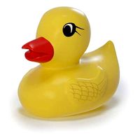 Rubber duck