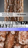 Realistic Pine Bark Textures