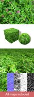 Pink Clover Seamless Texture