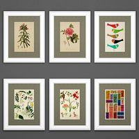 Bispgarden frames