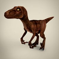 Raptor