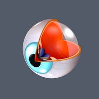 3d Eye