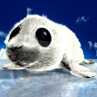 Cartoon Baby Seal Rigged