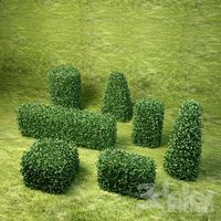 Bushes the second pack