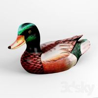 Duck