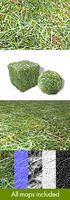 Grass Frost Close Seamless Texture