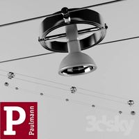 String light Paulmann Spot Cardan shaft