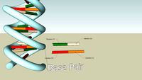 DNA