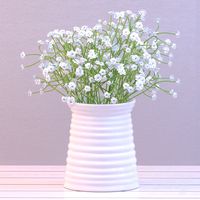 Baby&amp;#39;s breath in a vase