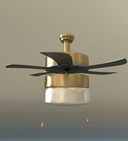 Ceiling Fan
