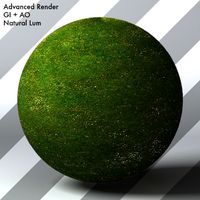 Grass Landscape Shader_034