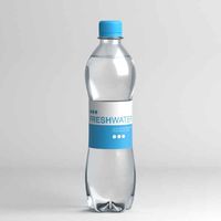 Water bottle