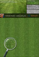 Grass Lawn Hi-Res Texture 02 'Single Stripe'