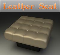 Leather Seat