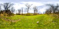 HDRI Tree And Grass Field
