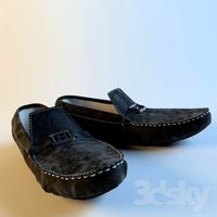 Moccasin