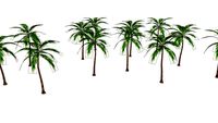 Palm Tree Dynamic Component