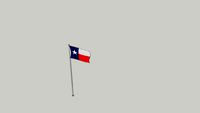 Texan Flag