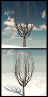 Winter Tree 1