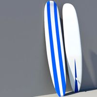 LongBoard Surf