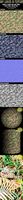 Dry Leaves 3D Texture