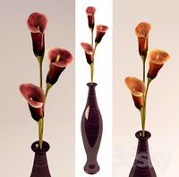 Vase with calla lilies