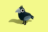 Crow - Quirky Series