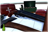 Accessories of a New Survivor #1