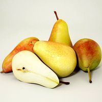 Pears