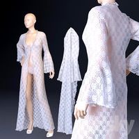 Lacy negligee