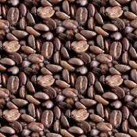 Coffee Beans Tilling Texture