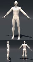 Base Human mesh