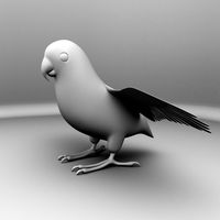 Parrot Bird