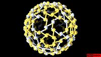 Rotegrity Springs • Class II • 2v(1,1)