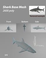 Shark BASE MESH