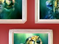 Plaster Photo Frames
