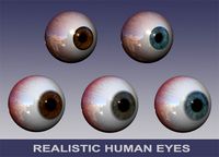 Dynamic Human Eyes Pack