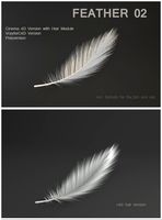 Feather 02