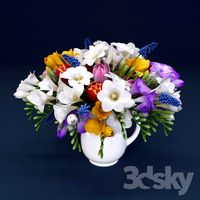 Hyacinth, Freesia, tulips