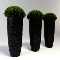 A large vase with a plant