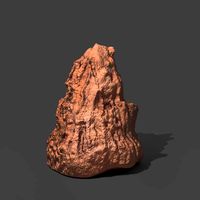 Ant hill - Termite Mound